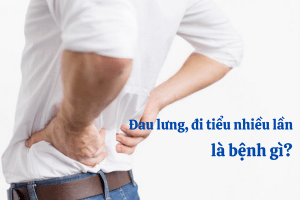 Đau lưng đi tiểu nhiều lần có thể tiềm ẩn những bệnh lý nguy hiểm cần được điều trị sớm