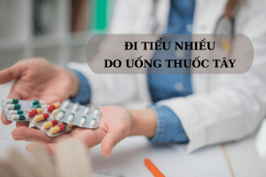 Các thành phần trong thuốc tây có thể kích hoạt hệ thống bài tiết tiết nước tiểu nhiều hơn bình thường